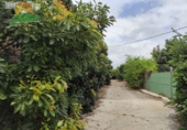 Finca rústica en venda a la España, Motril, ref.: TR183522 foto