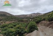 Finca rústica en venda a la España, Motril, ref.: TR183522 foto