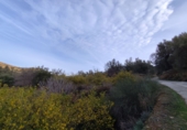 Non-developable land for sale on España, Talará, ref: TR254044 photo