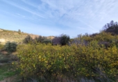 Non-developable land for sale on España, Talará, ref: TR254044 photo