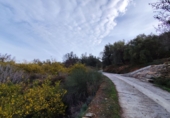 Non-developable land for sale on España, Talará, ref: TR254044 photo