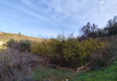 Non-developable land for sale on España, Talará, ref: TR254044 photo