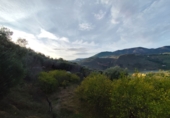 Non-developable land for sale on España, Talará, ref: TR254044 photo