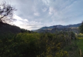 Non-developable land for sale on España, Talará, ref: TR254044 photo