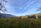 Non-developable land for sale on España, Talará, ref: TR254044 photo