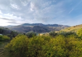 Non-developable land for sale on España, Talará, ref: TR254044 photo
