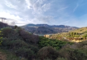 Non-developable land for sale on España, Talará, ref: TR254044 photo