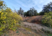Non-developable land for sale on España, Talará, ref: TR254044 photo