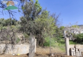 Finca rústica en venta en la España, Lanjarón, ref: TR263215 foto