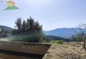 Finca rústica en venta en la España, Lanjarón, ref: TR263215 foto