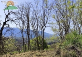 Finca rústica en venta en la España, Lanjarón, ref: TR263215 foto