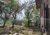 Finca rústica en venta en la España, Lanjarón, ref: TR263215 foto