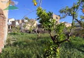 Xalet independent amb terreny en venda a la España, Pinos del Valle, ref.: TR232956 foto