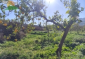 Xalet independent amb terreny en venda a la España, Pinos del Valle, ref.: TR232956 foto