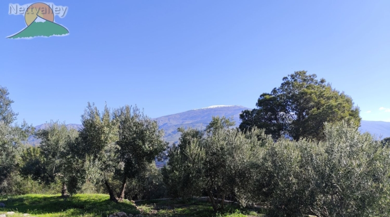Granada - Pinos del Valle - 4800m2