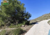 Finca rústica en venda a la España, Pinos del Valle, ref.: TR234034 foto