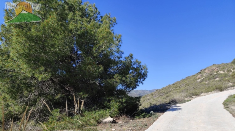 Granada - Pinos del Valle - 4800m2