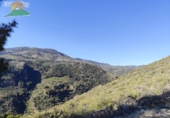 Finca rústica en venda a la España, Pinos del Valle, ref.: TR234034 foto