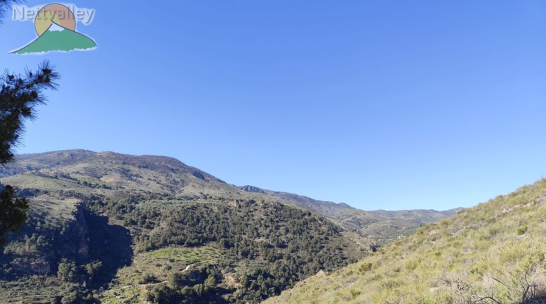 Granada - Pinos del Valle - 4800m2
