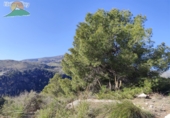 Finca rústica en venda a la España, Pinos del Valle, ref.: TR234034 foto