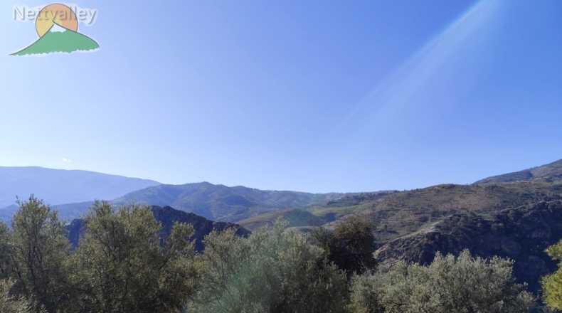 Granada - Pinos del Valle - 4800m2