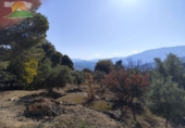 Finca rústica en venda a la España, Pinos del Valle, ref.: TR234034 foto