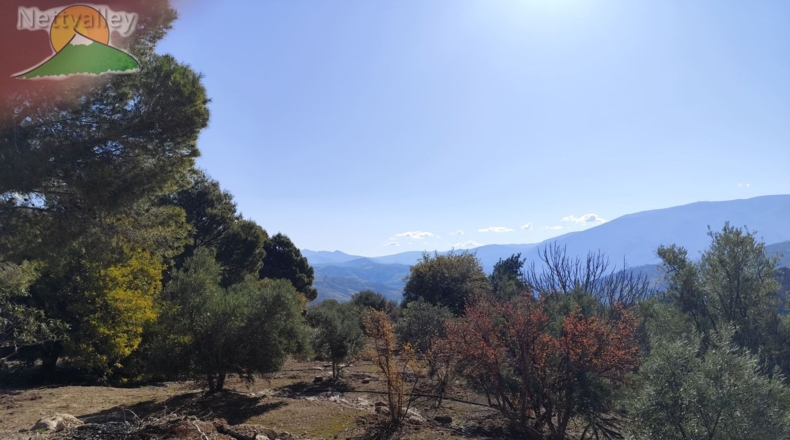 Granada - Pinos del Valle - 4800m2
