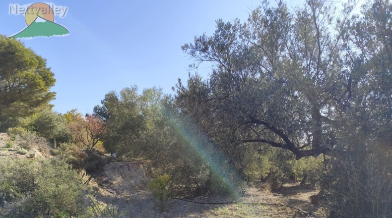 Granada - Pinos del Valle - 4800m2