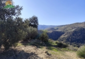 Finca rústica en venda a la España, Pinos del Valle, ref.: TR234034 foto
