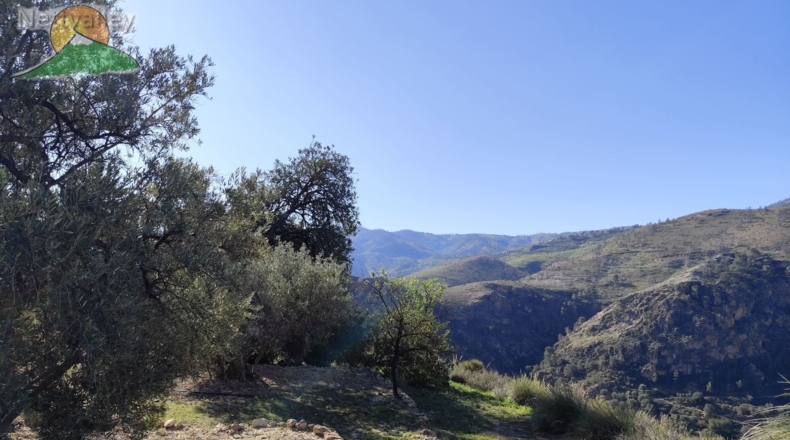 Granada - Pinos del Valle - 4800m2