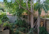Casa de poble en venda a la España, Acebuches, ref.: TR345000 foto