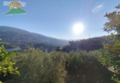 Земельный участок на продажу в городе Pinos del Valle Фото