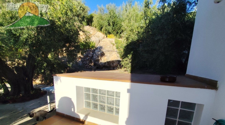 Granada - Pinos del Valle - 10800m2