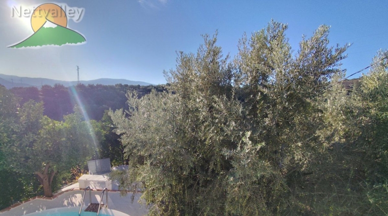 Granada - Pinos del Valle - 10800m2