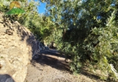 Земельный участок на продажу в городе Pinos del Valle Фото