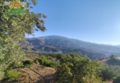 Земельный участок на продажу в городе Pinos del Valle Фото