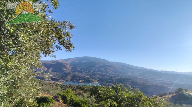 Granada - Pinos del Valle - 10800m2