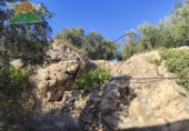 Земельный участок на продажу в городе Pinos del Valle Фото