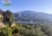 Земельный участок на продажу в городе Pinos del Valle Фото