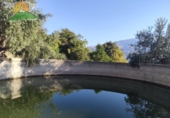 Земельный участок на продажу в городе Pinos del Valle Фото