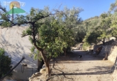 Земельный участок на продажу в городе Pinos del Valle Фото