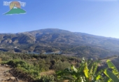 Земельный участок на продажу в городе Pinos del Valle Фото