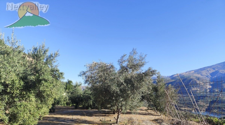 Granada - Pinos del Valle - 10800m2
