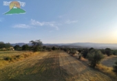 Casa de pueblo en venta en la España, Nigüelas, ref: TR357275 foto