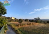 Casa de pueblo en venta en la España, Nigüelas, ref: TR357275 foto