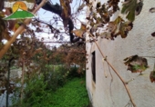 Finca rústica en venda a la España, Béznar, ref.: TR360673 foto
