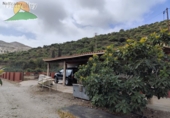 Finca rústica en venda a Motril ref.: TR349198 foto