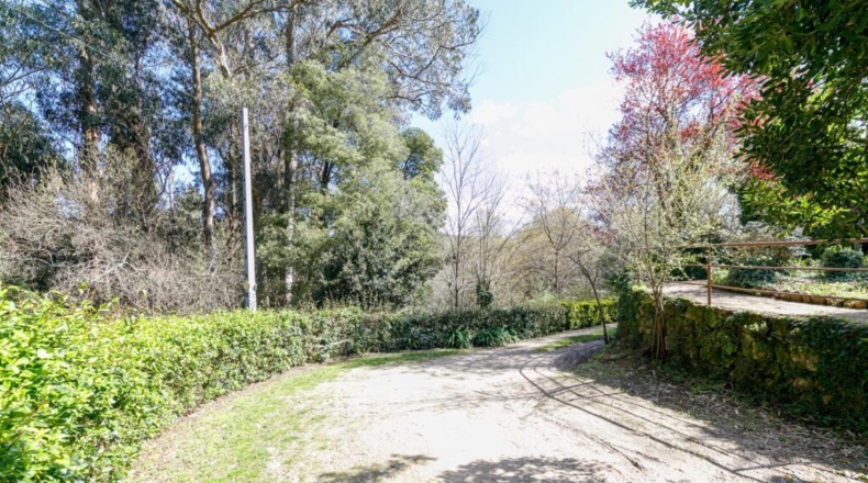 Pontevedra - A Maraña - 448m2