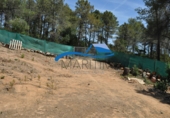 Parcel·la urbanitzable en venda a Tordera ref.: TR254047 foto