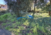 Land suitable for development for sale on España, Sant Genís de Palafolls, ref: TR385668 photo